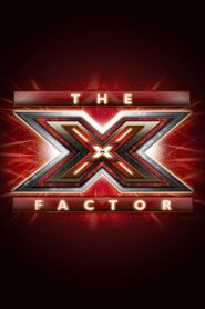 The X Factor (2004)