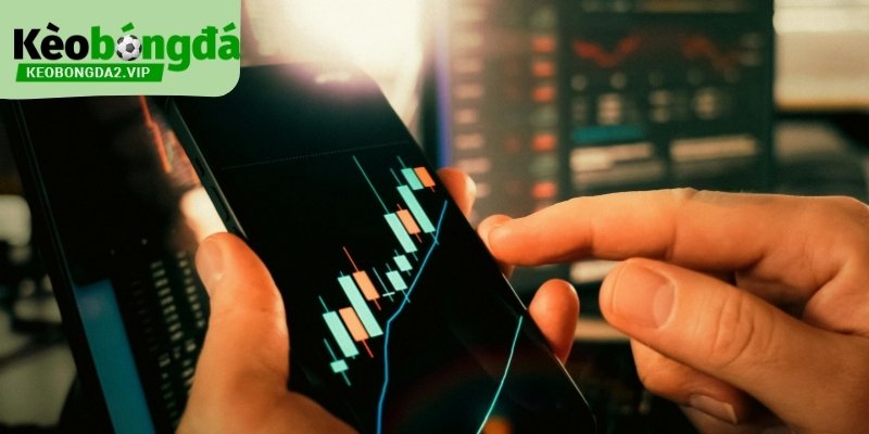 Dữ liệu là cách bắt tài xỉu bóng đá hiệu quả